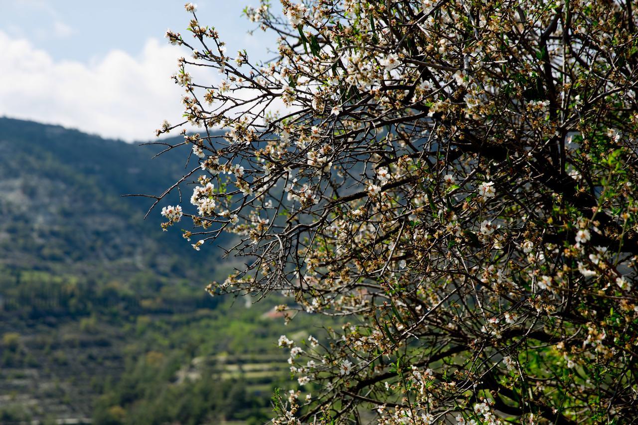 The Old Olive Mill House By Trulycyprus Villa Dhoros Ngoại thất bức ảnh