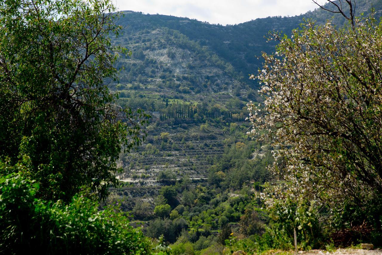 The Old Olive Mill House By Trulycyprus Villa Dhoros Ngoại thất bức ảnh